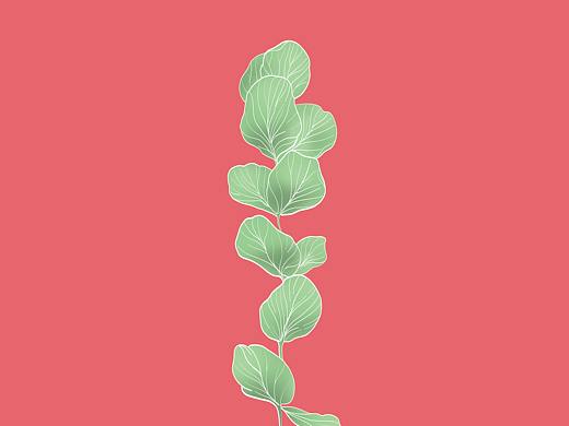 小插画习作