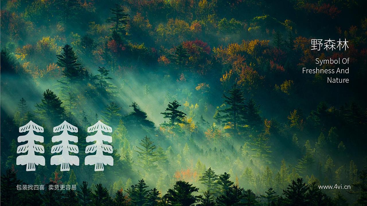 野森林东北黑木耳包装设计-四喜包装设计