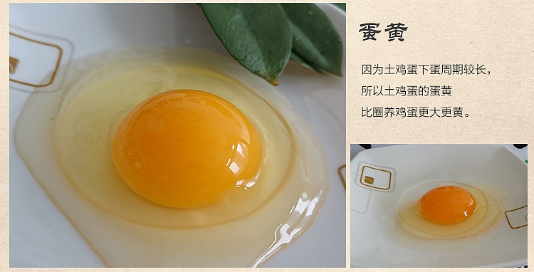 土鸡蛋详情（图ZMzQzNzQ3OTI=） - 电商 - 站酷设计师badiang原创素材 - 站酷ZCOOL