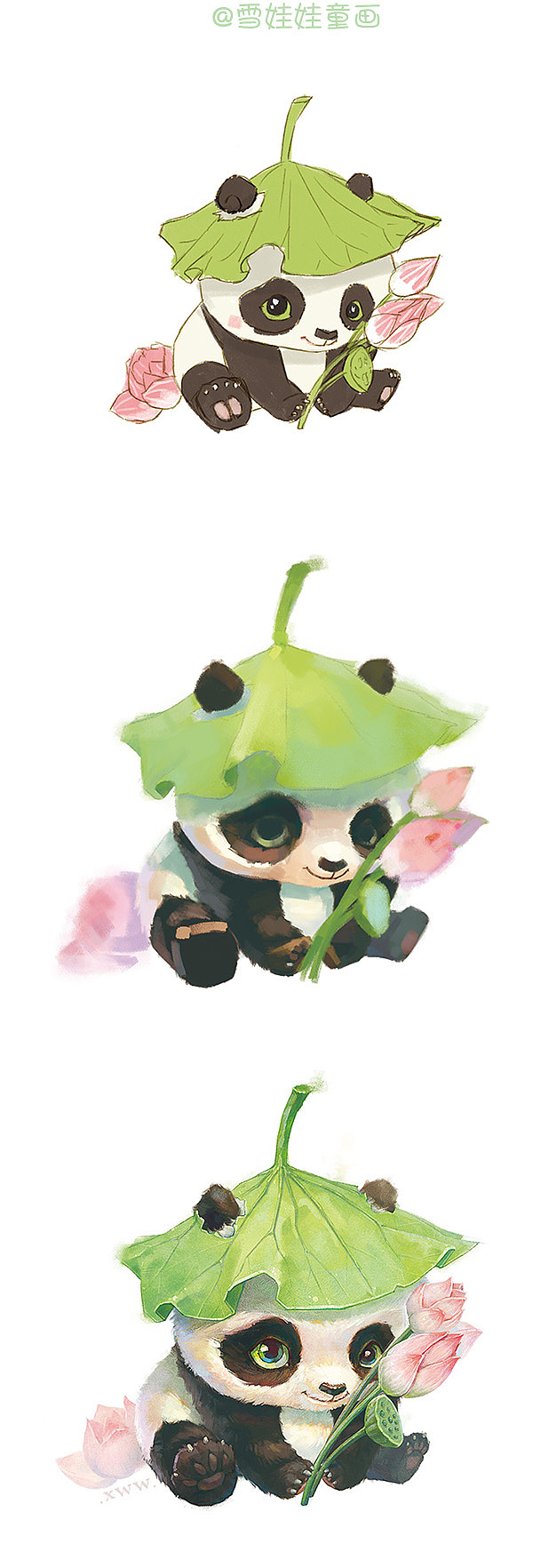 【萌宠by雪娃娃】荷花熊猫