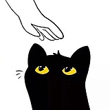 Dd猪猪呀的头像