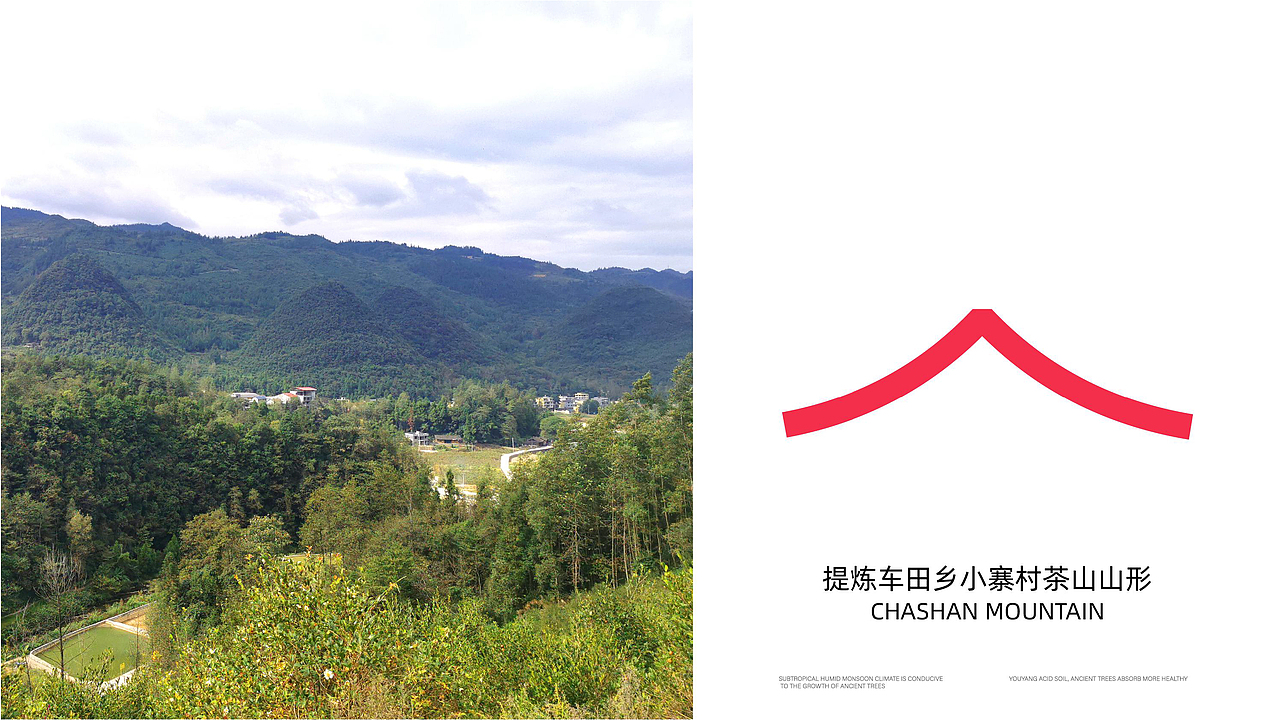 游加倍(中国)古树山茶油品牌全案策划设计