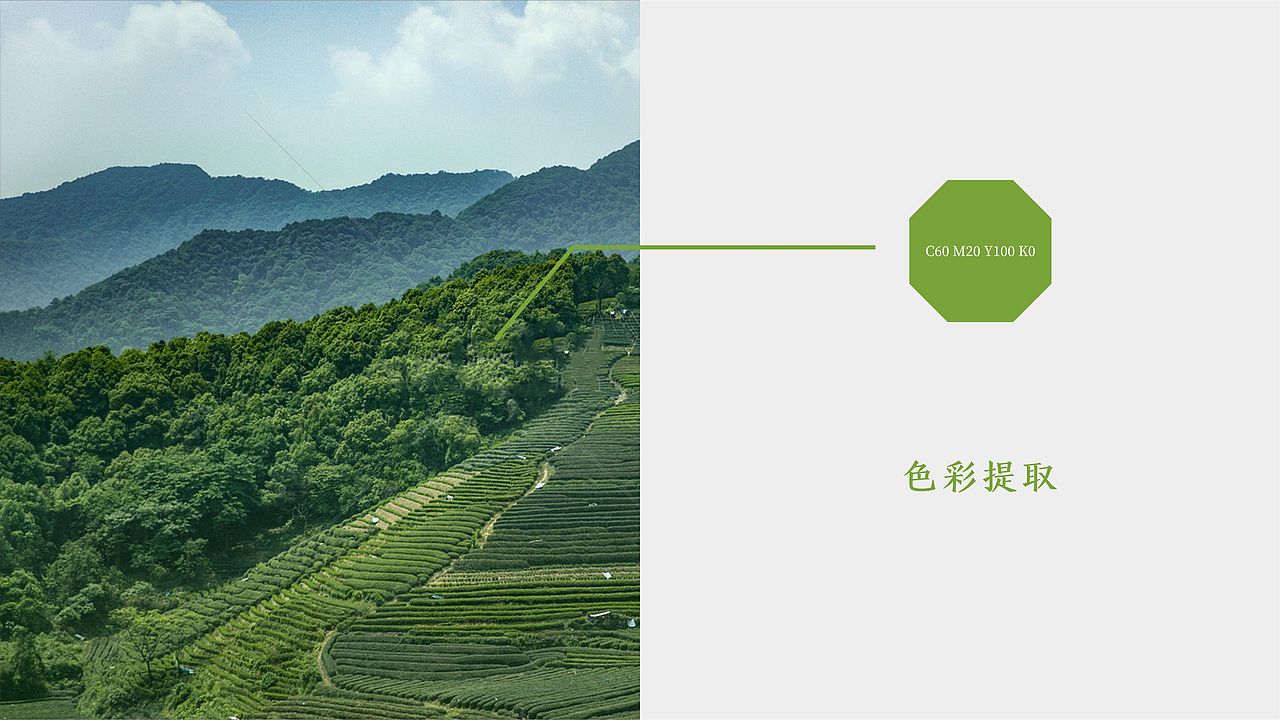 乾茸茶品牌提案