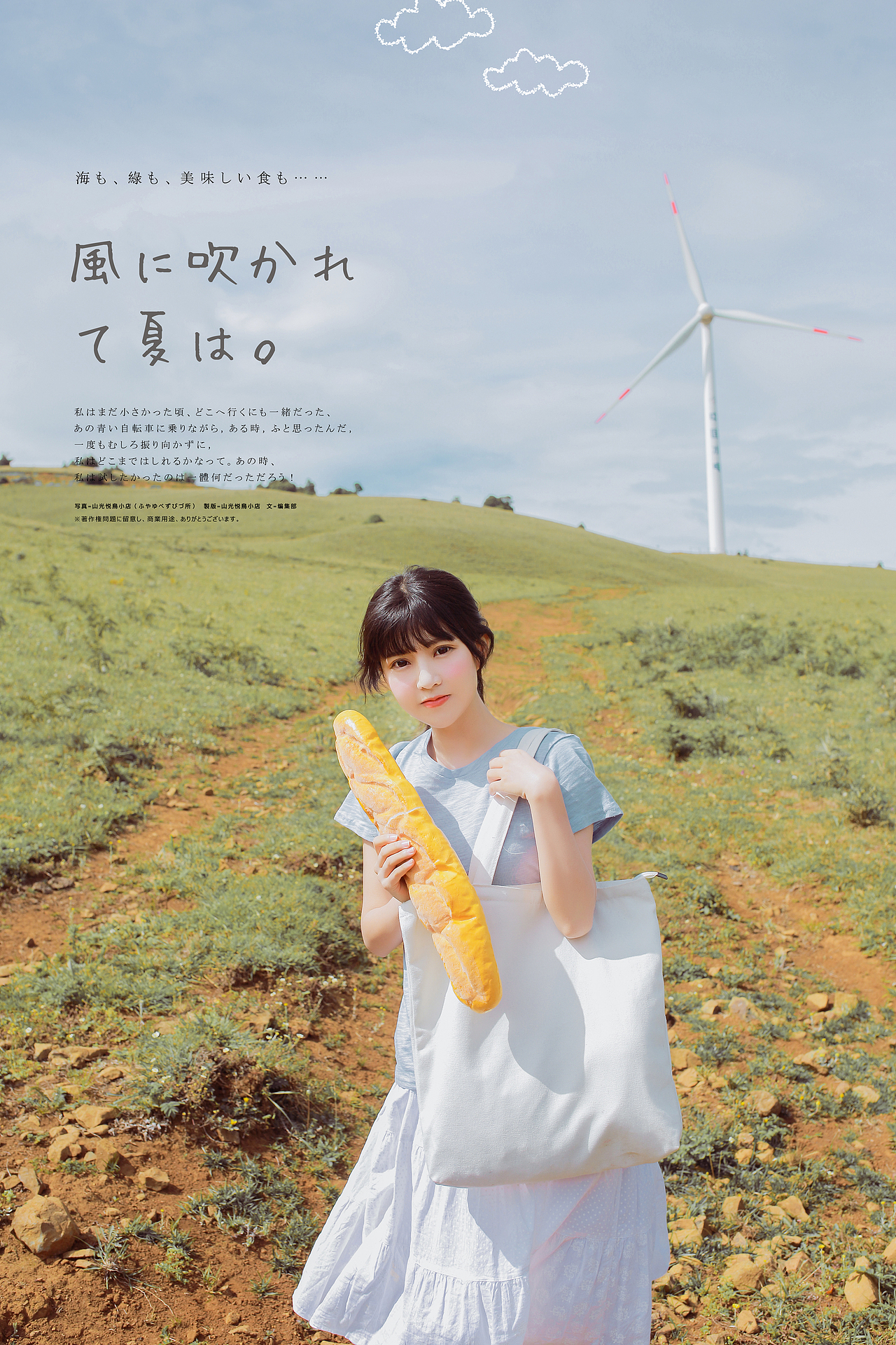 「風が吹く夏」