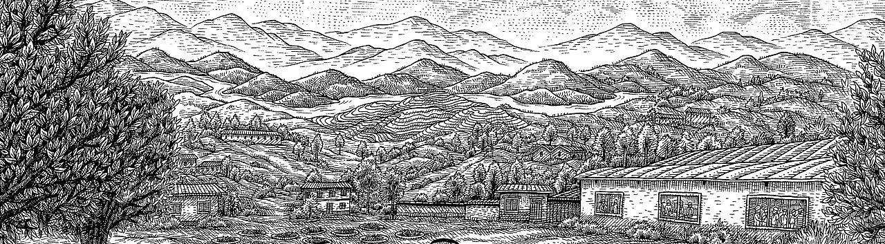 《七彩云南茶》手绘作品