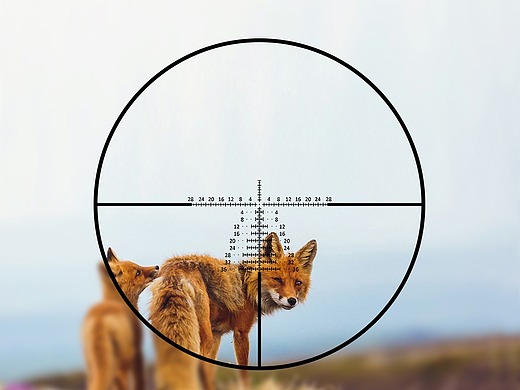 瞄准镜平面-海报1年前手电1平面-其他平面141002年前灭蚊灯详情网页