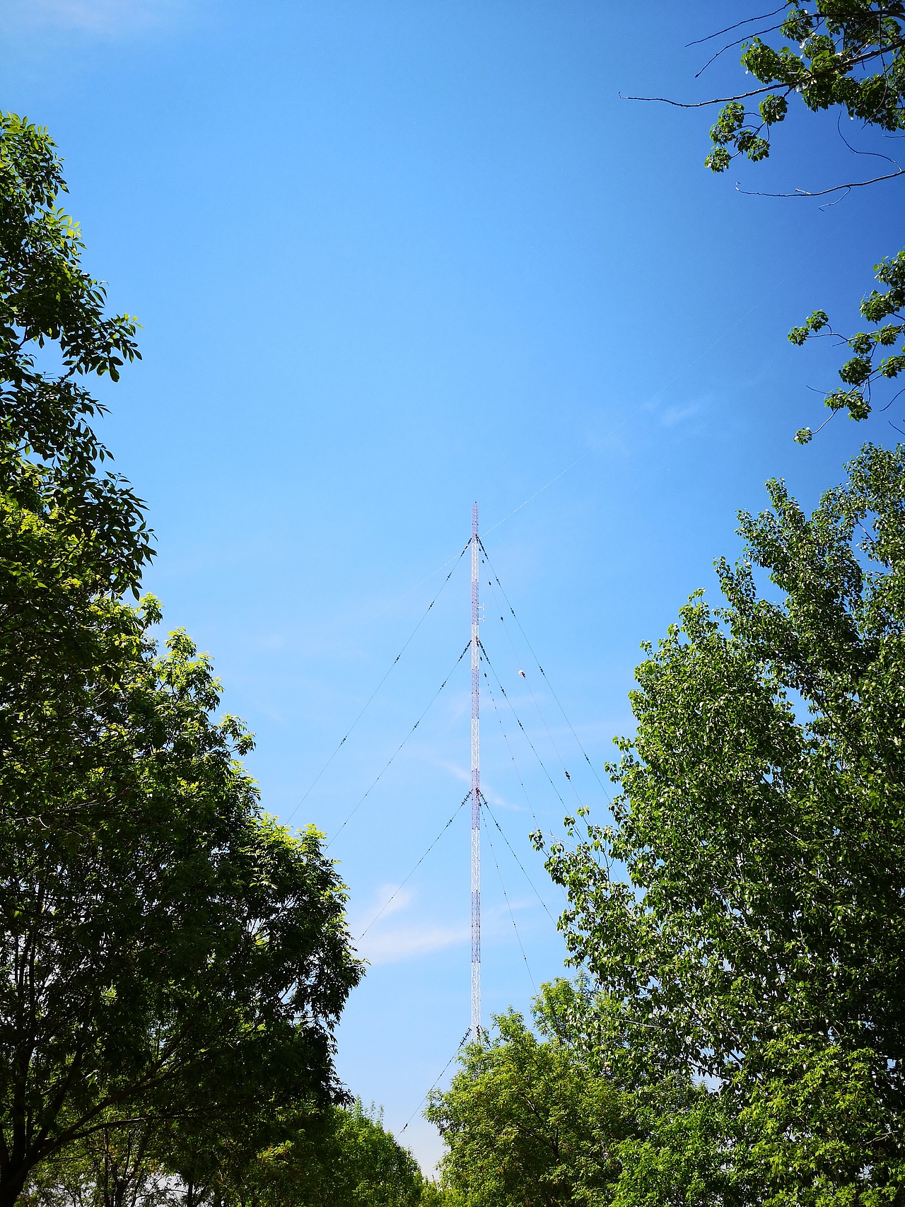 xiliuhu公園（圖ZMTU0MjU5MDE2） - 風(fēng)光攝影 - 站酷設(shè)計(jì)師ciliy小白原創(chuàng)素材 - 站酷ZCOOL