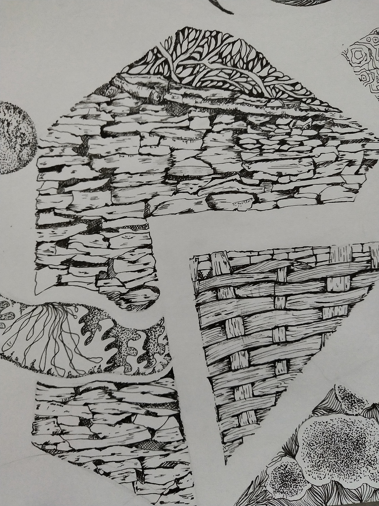 提取不同东西的肌理,用线描的方式刻画,构图自由随意西安/设计爱好者