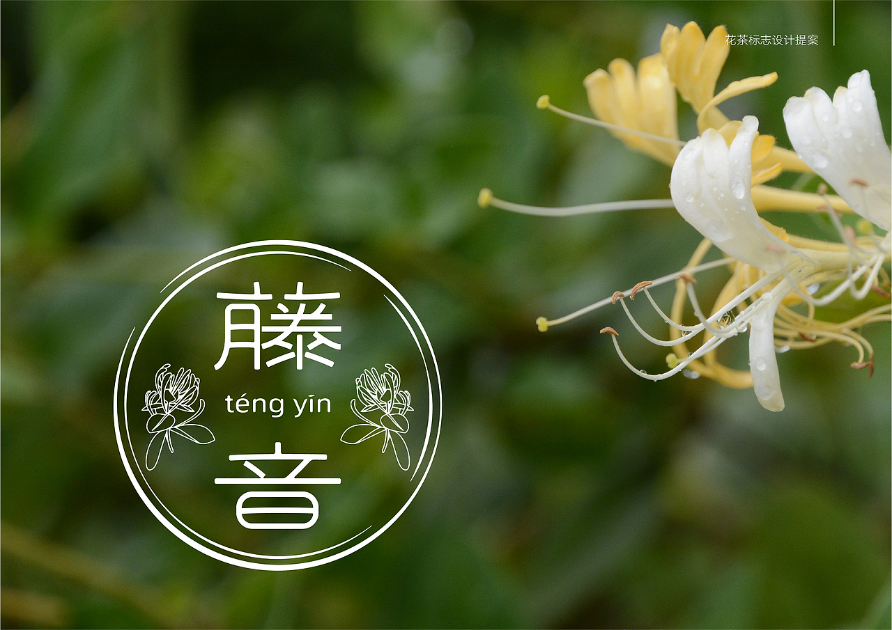 一款花茶的包装小标（图ZMjAzNzI2NDY0） - Logo - 站酷设计师由之是桶哥啊原创素材 - 站酷ZCOOL