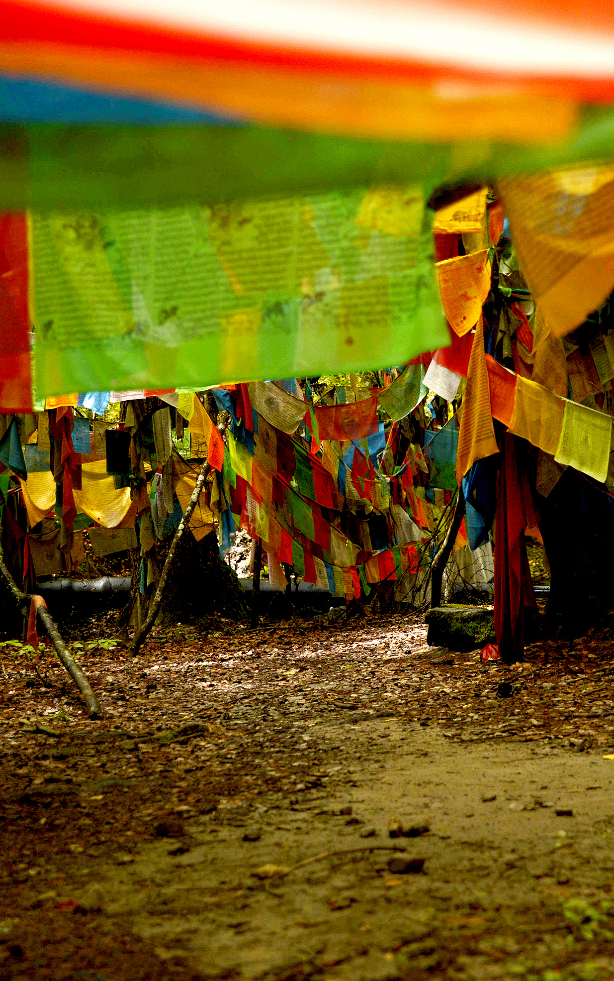 平凡之路-风俗篇