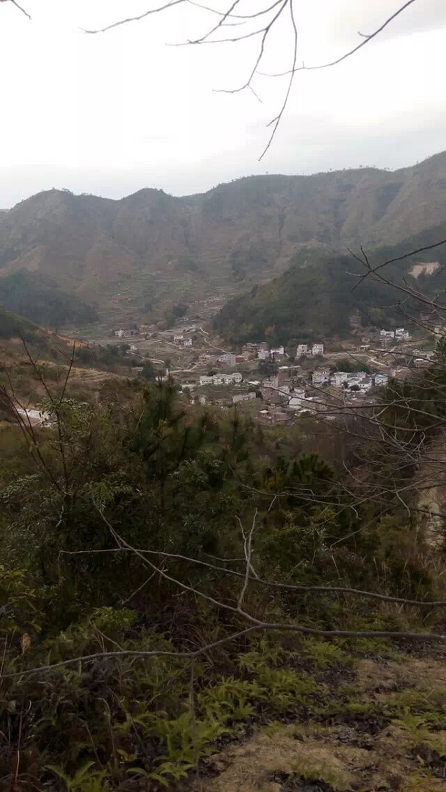 老家悠闲时光(家乡的气息)