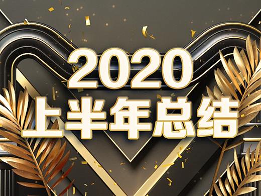 2020上半年度商业项目总结