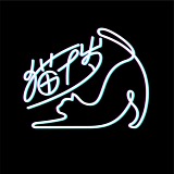 猫千岁的头像