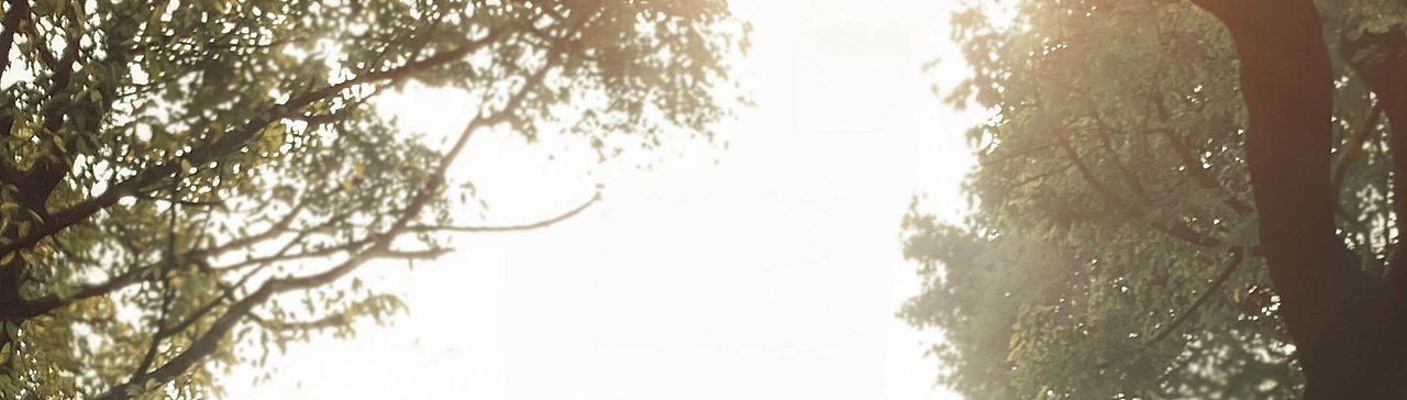 虞美人（图ZMjEwNDU1MzYw） - 修图/后期 - 站酷设计师NAVY大水山鱼笨猫原创素材 - 站酷ZCOOL