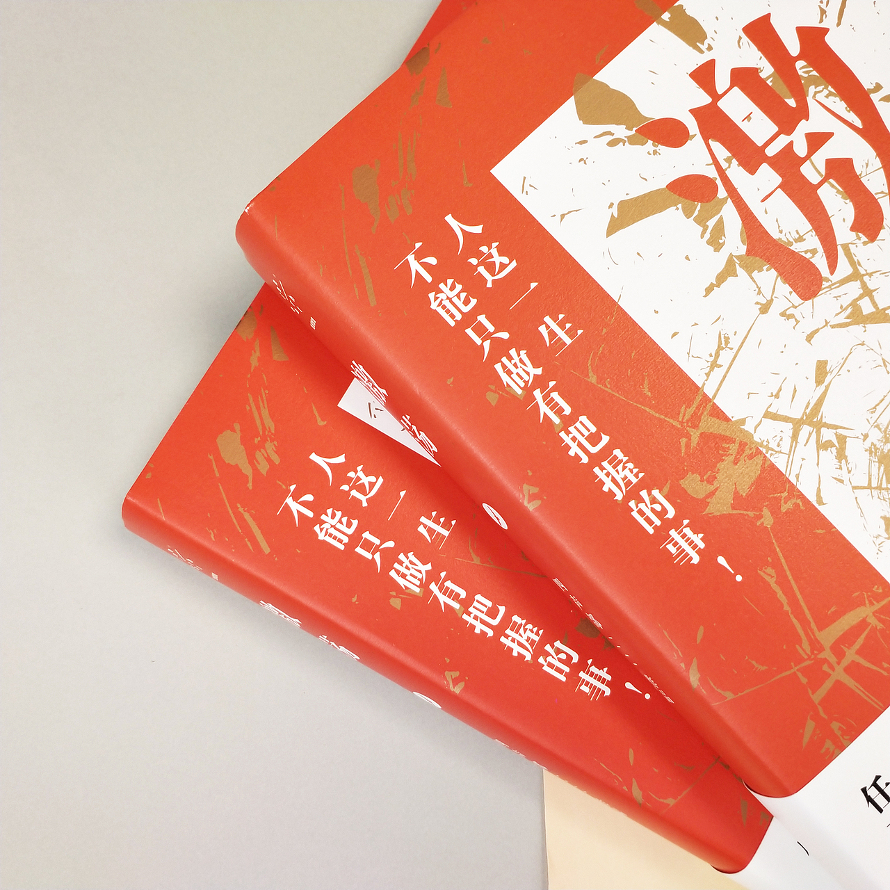 书籍装帧——《激荡》（图ZMTc4MDQyODEy） - 书籍/画册 - 站酷设计师八月松子原创素材 - 站酷ZCOOL