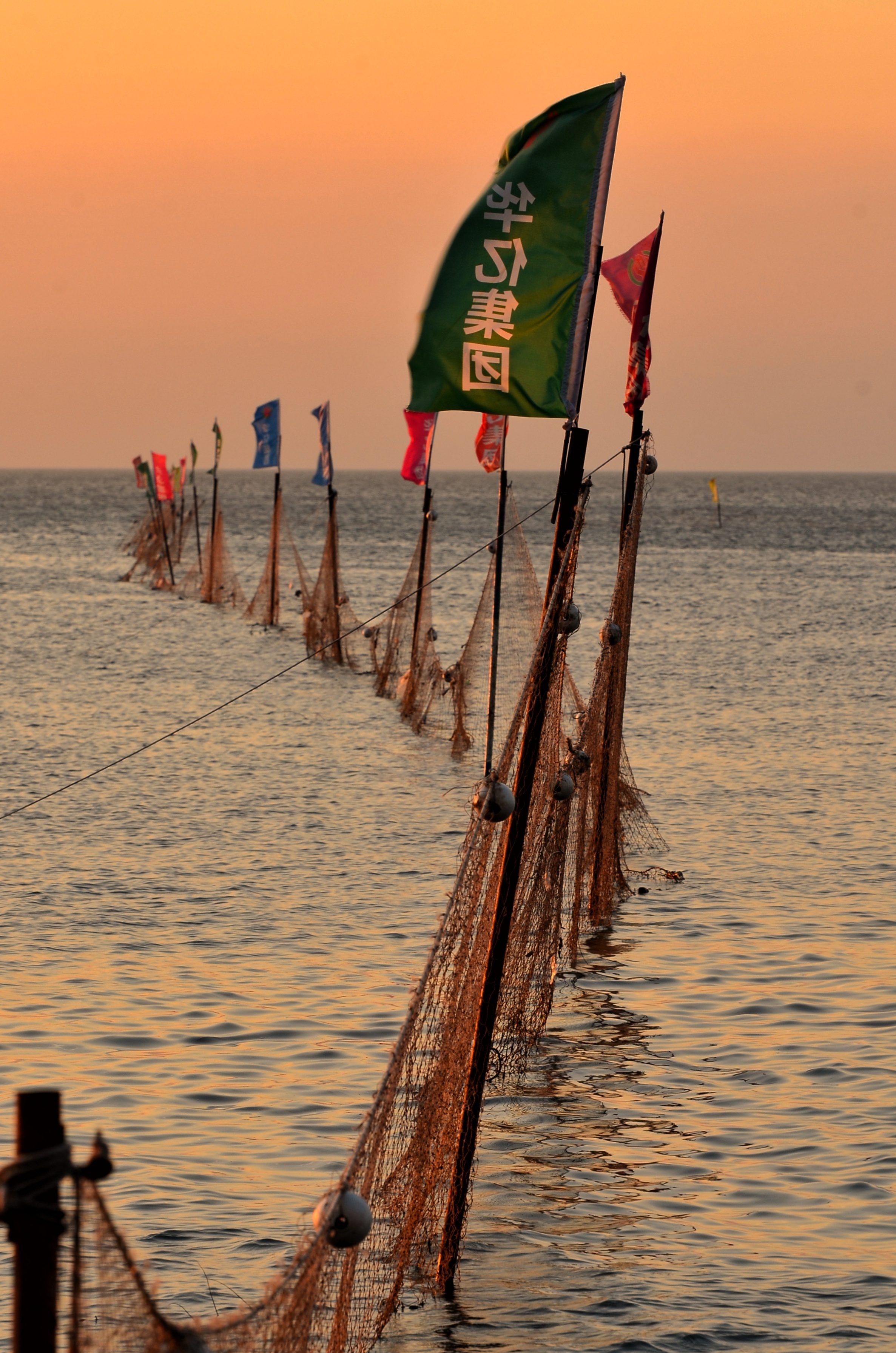 夏家河子海滨公园