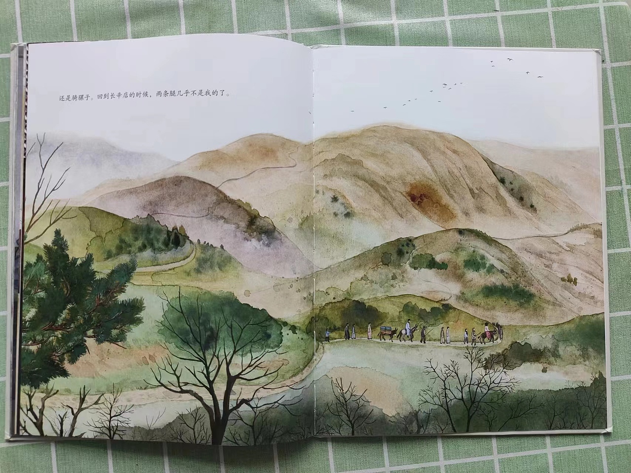 我画绘本《潭柘寺戒坛寺》出版了(完结)