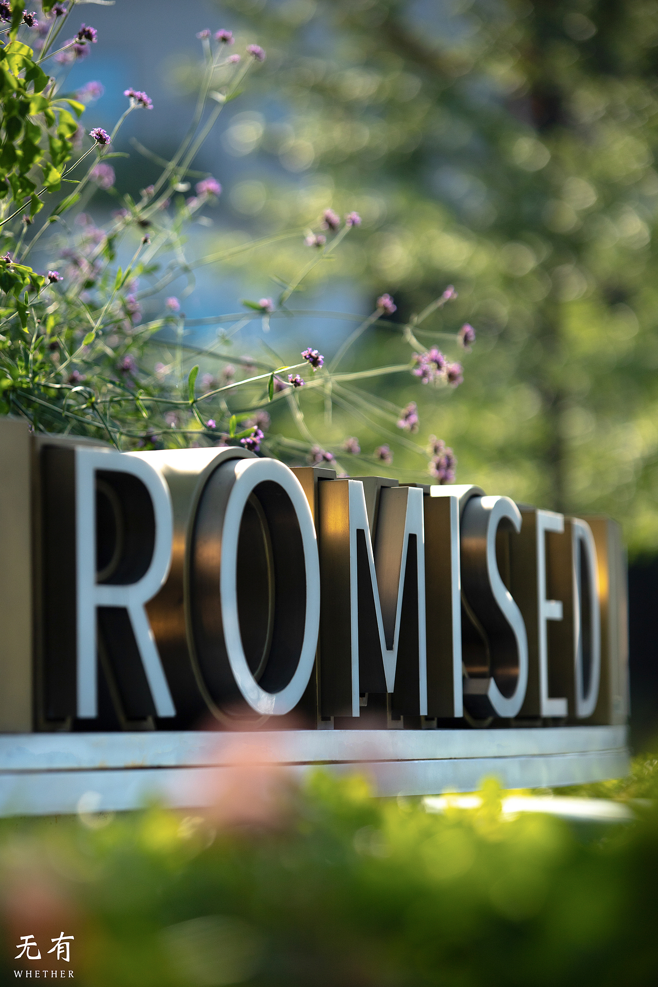 嘉兴 万科种子艺术中心（图ZMzYxNzY1Mjg4） - 环境/建筑摄影 - 站酷设计师无有建筑摄影原创素材 - 站酷ZCOOL