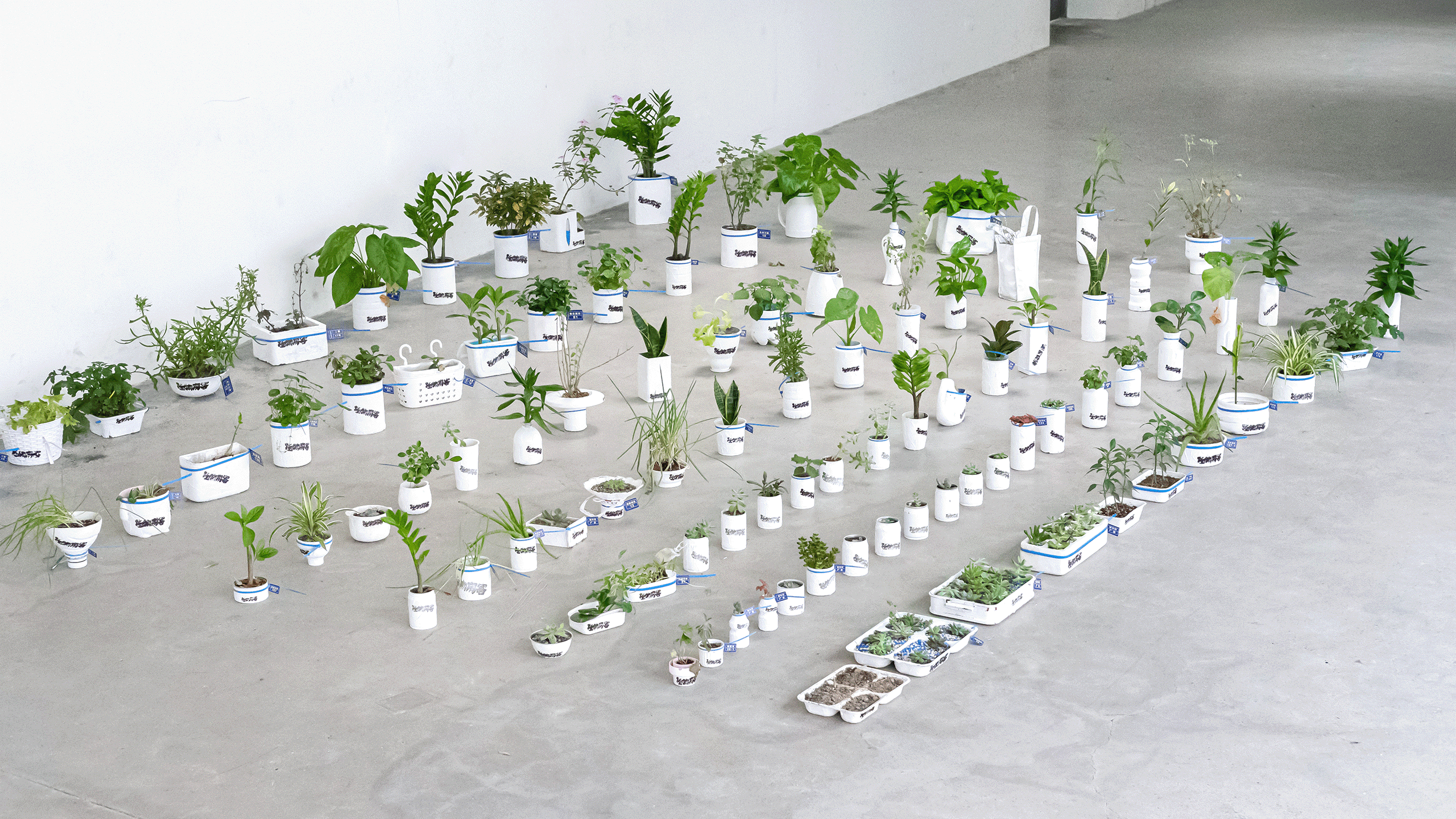 社区营造设计项目|植物房客(图ZMzE3NTYxNzI4) - 书籍/画册 - 站酷设计师3883號房客原创素材 - 站酷ZCOOL