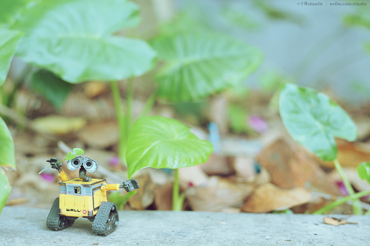 下个，路口，见。（图ZMTY0NzE3NzI=） - 人文/纪实摄影 - 站酷设计师子弹zitanhe原创素材 - 站酷ZCOOL