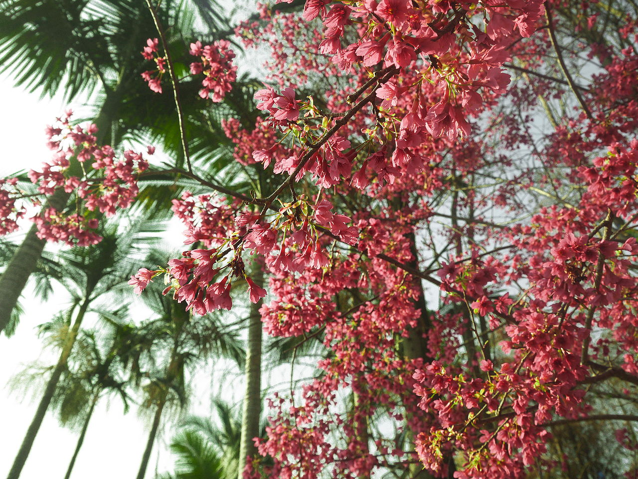 **森林公园**（图ZMTM4NTQxMjQ=） - 风光摄影 - 站酷设计师3thslive原创素材 - 站酷ZCOOL