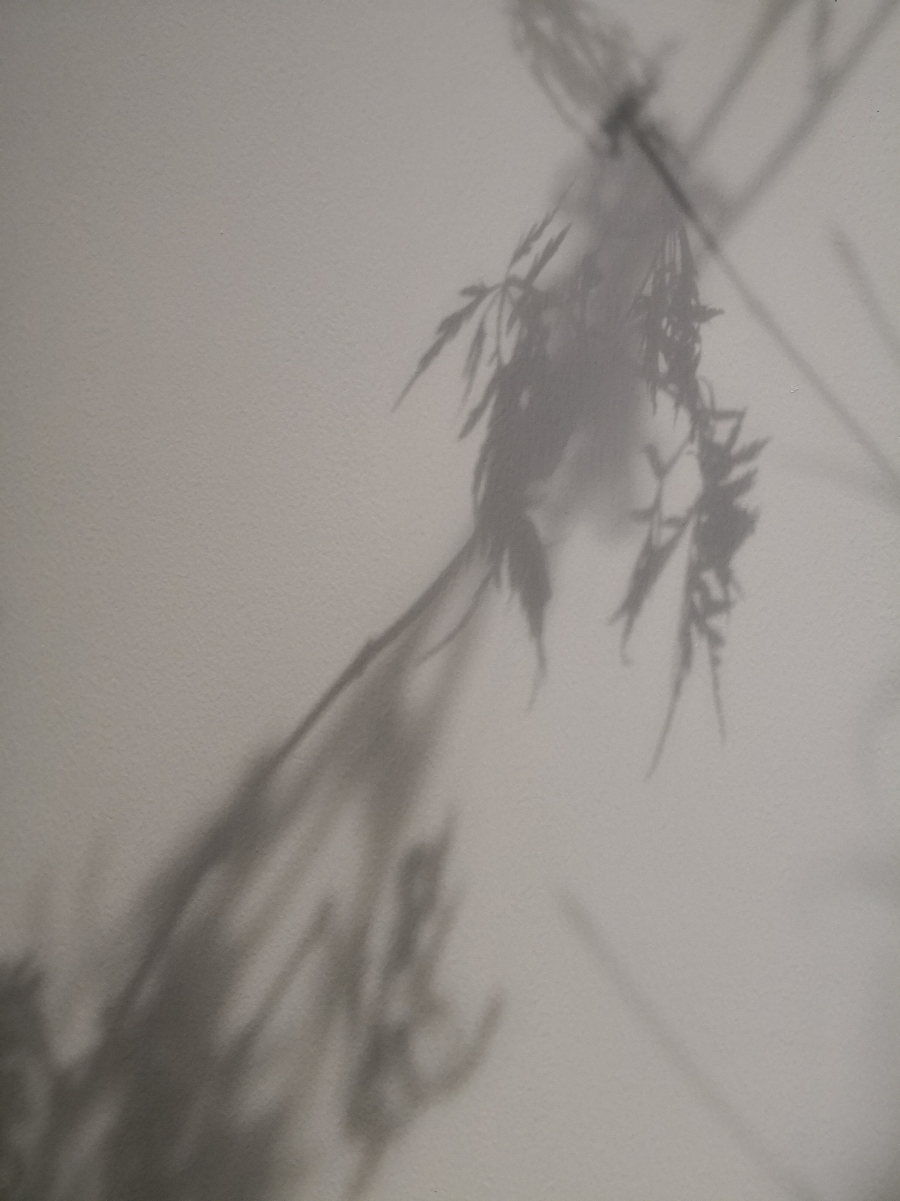 D..|11-20 十天的影像（图ZMTMwMjE0MTY0） - 人文/纪实摄影 - 站酷设计师YELOPHOTO原创素材 - 站酷ZCOOL