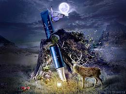 作品展示临时链接