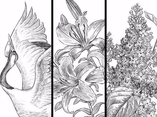 三张商业插画