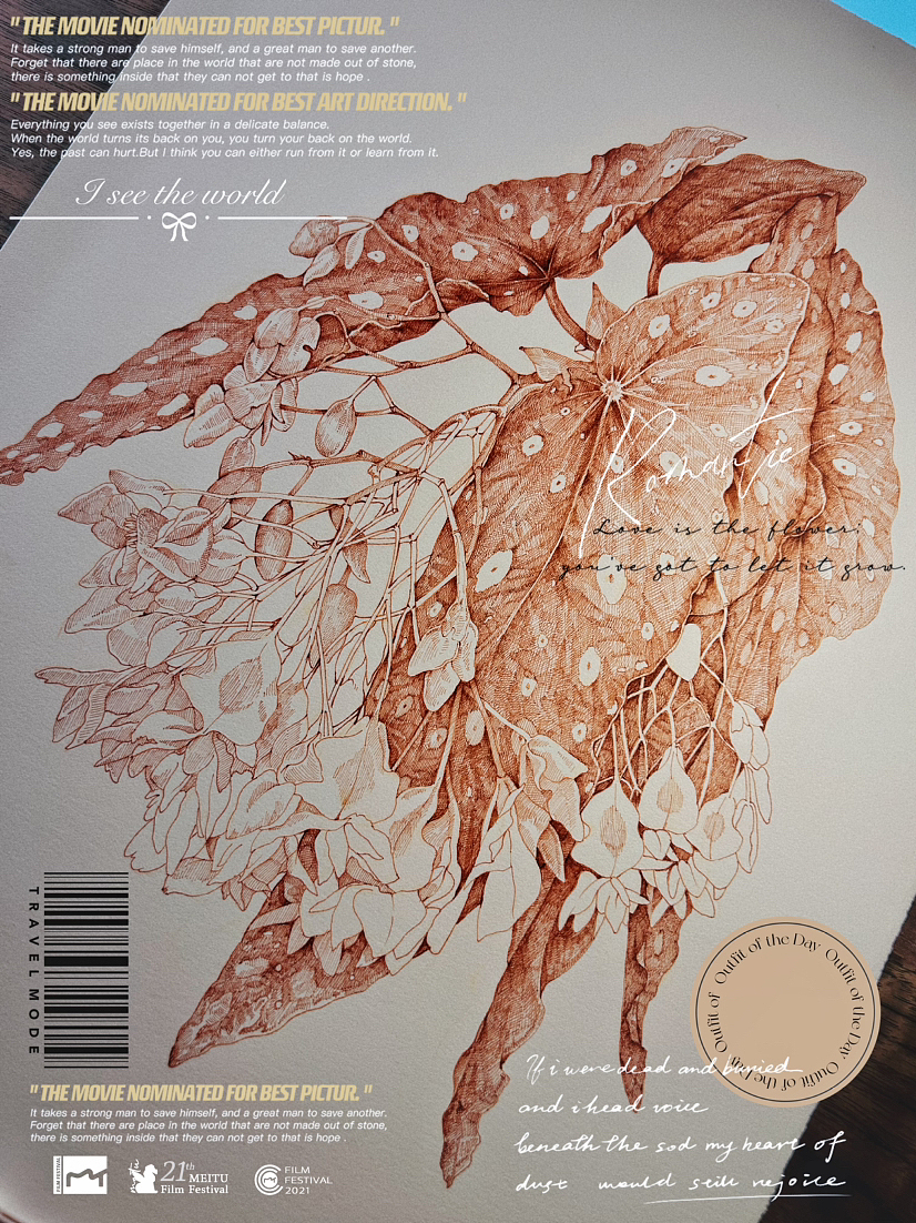 蘸水笔针管笔|鳟鱼秋海棠