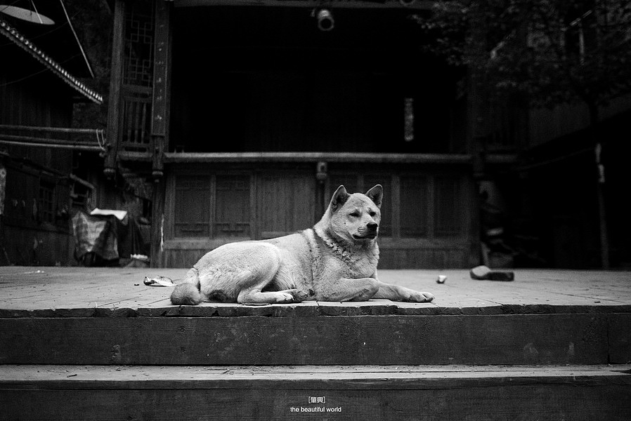 黔东南旅行纪录（图ZODEyMjIwMA==） - 风光摄影 - 站酷设计师hexaoyama原创素材 - 站酷ZCOOL