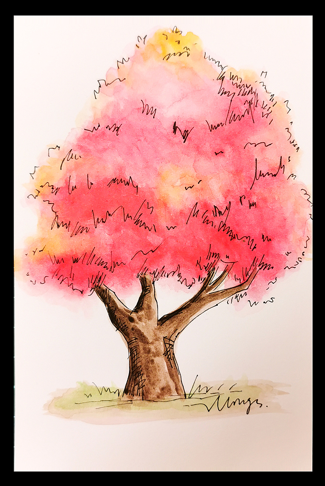 明信片的魅力-ing