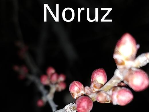 noruz（個(gè)人主頁-ZMzU0NDg5MDA=） - 其他平面 - 站酷設(shè)計(jì)師ahmatjan928原創(chuàng)素材 - 站酷ZCOOL