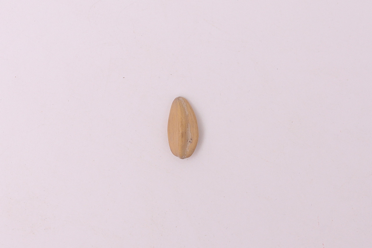 B08零食\C07-坚果炒货\V21白瓜子X1-QM