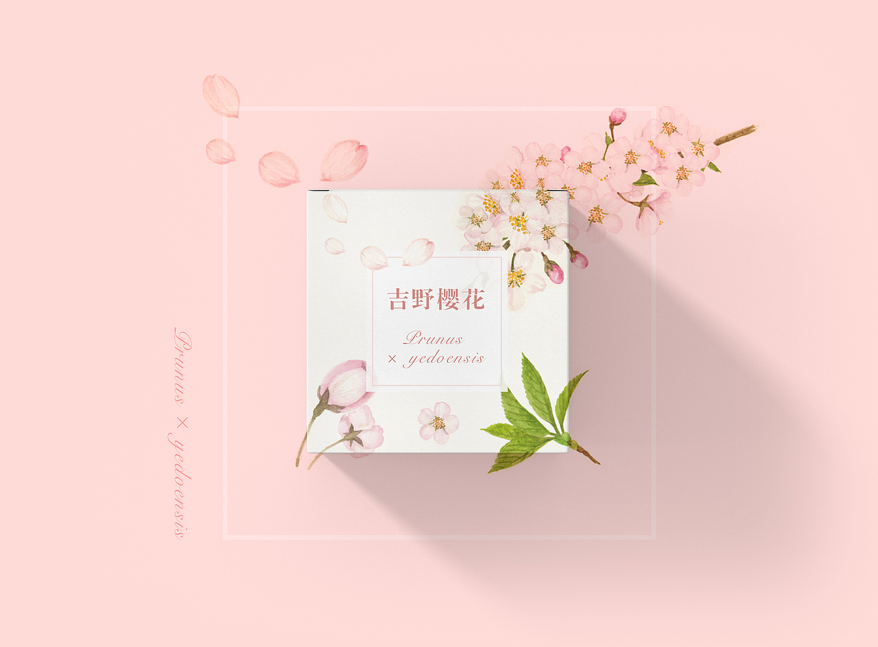 春花花胶带包装设计