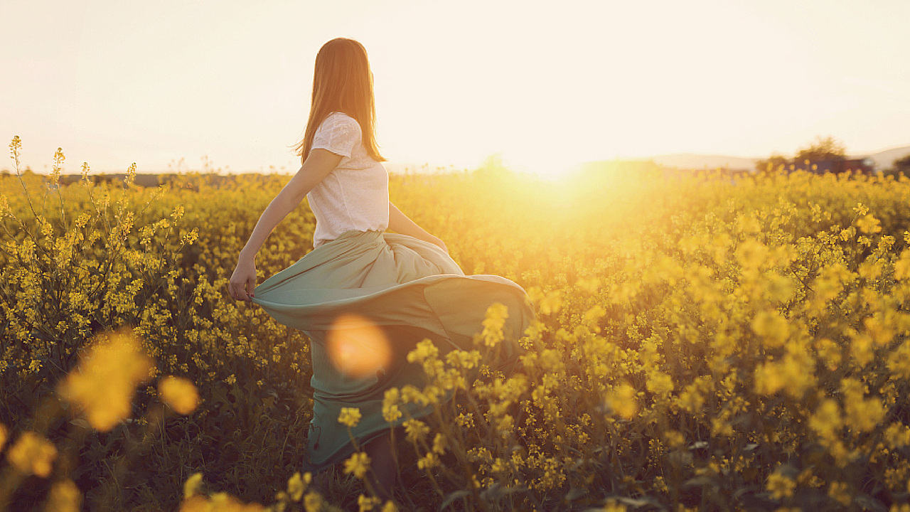 鲜百合包装设计——云点创意（图ZMTI1NzM5MjYw） - 包装 - 站酷设计师云点创意原创素材 - 站酷ZCOOL