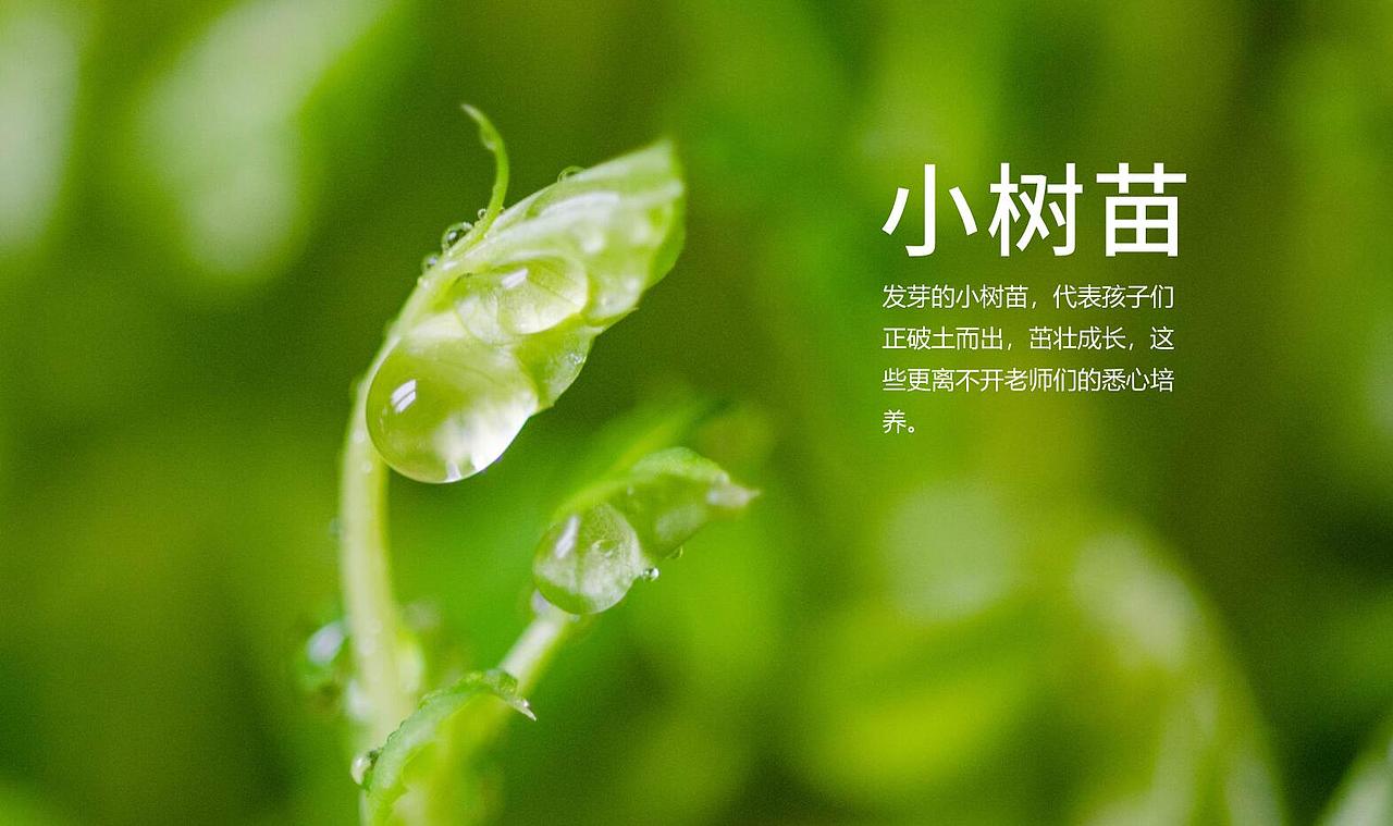 怡心第四幼儿园