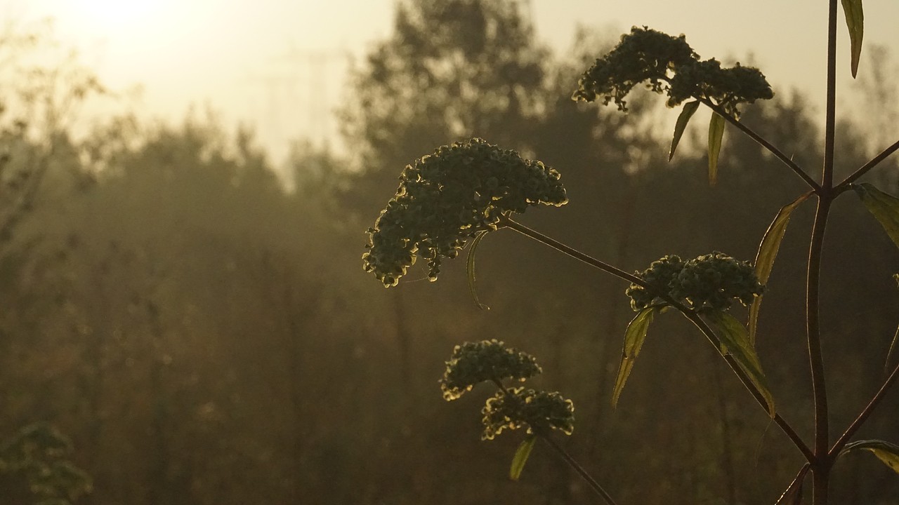 日出（图ZMTgxMTQ0OTg0） - 风光摄影 - 站酷设计师北方的南边原创素材 - 站酷ZCOOL