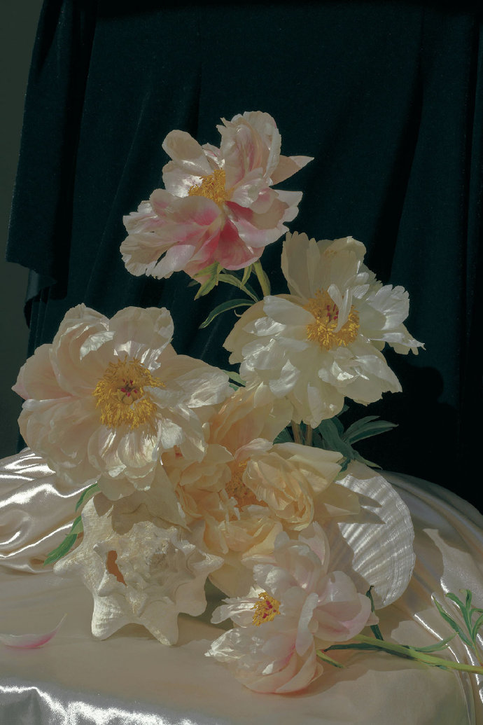 胥安的个人主页（背景预览） - 主页背景设置 - 站酷设计师胥安原创素材 - 站酷ZCOOL