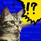 热心市民柳还行的头像
