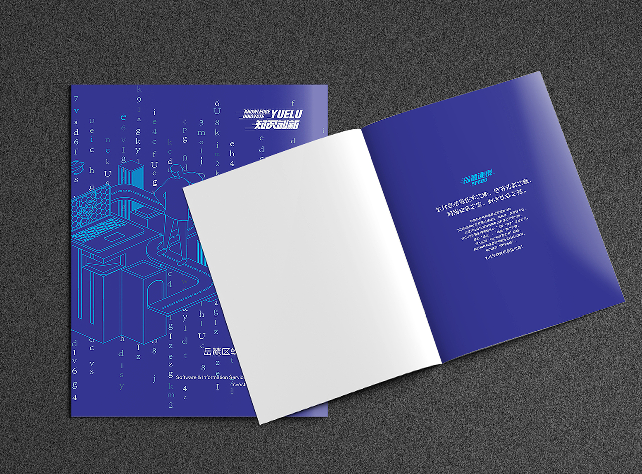 软件与信息技术服务业画册（图ZMjA1ODc3ODA0） - 书籍/画册 - 站酷设计师峡谷旁的小白菜原创素材 - 站酷ZCOOL
