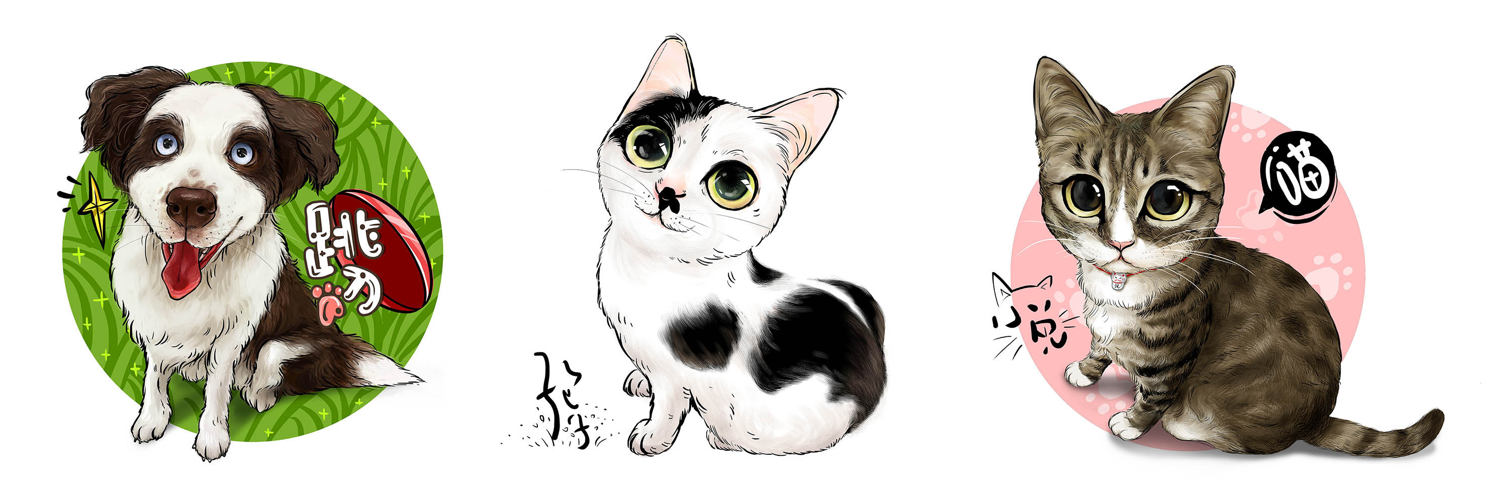 三只萌宠私人定制 amy.a手绘