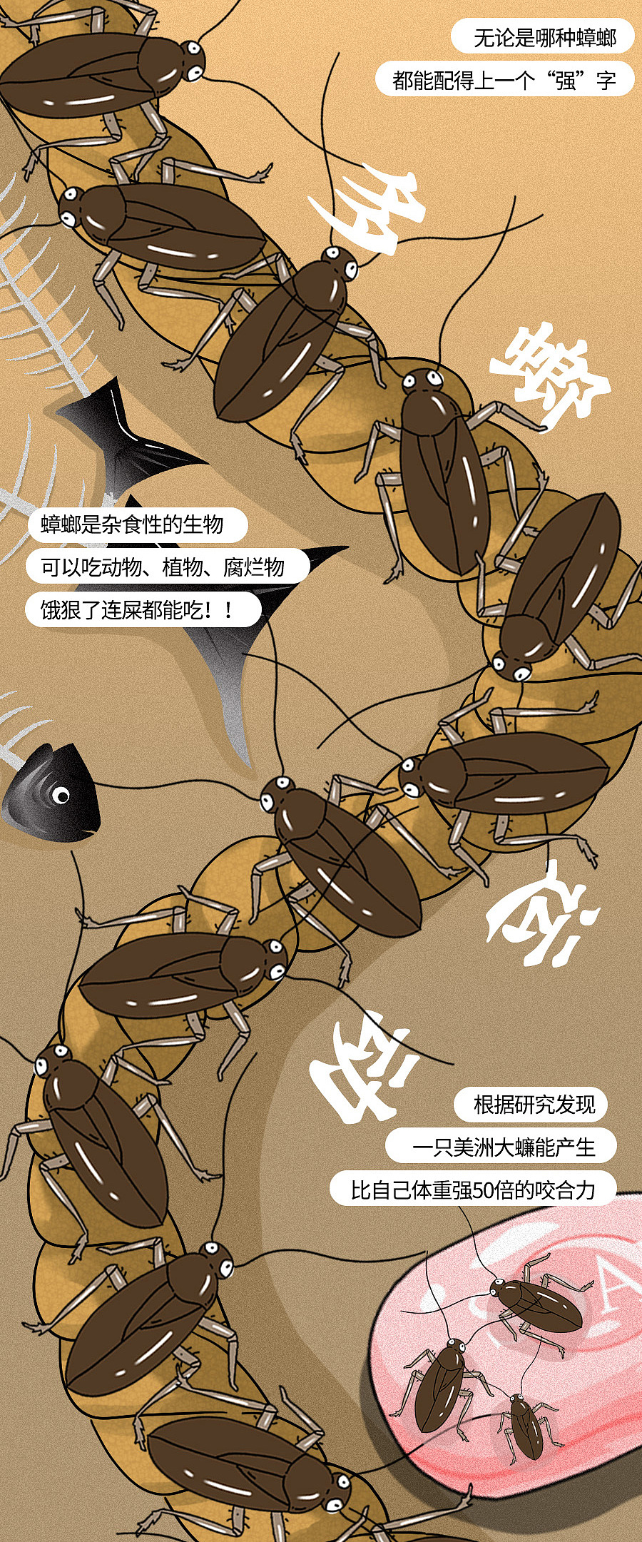 南方蟑螂把北方人吓到叫娘？蟑螂到底有多可怕？（图ZMjEyMjQyNjU2） - 中/长篇漫画 - 站酷设计师知识嗑儿原创素材 - 站酷ZCOOL