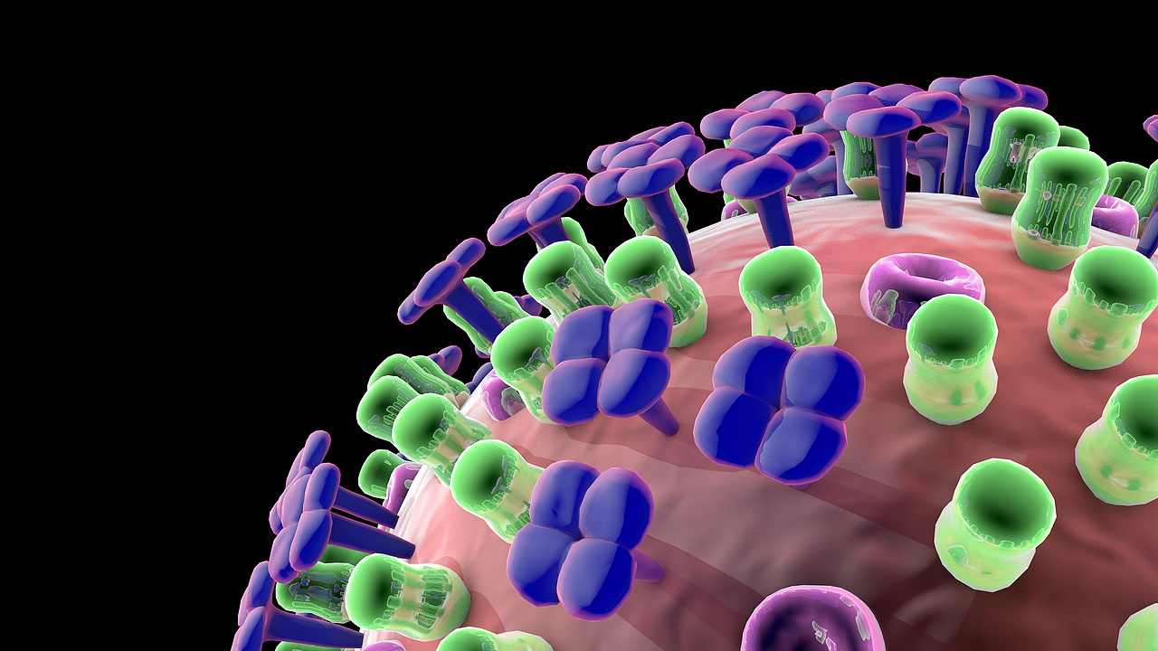 流感病毒模型