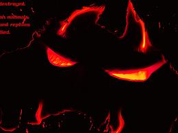 救救澳大利亚!SAVE AUSTRALIA！