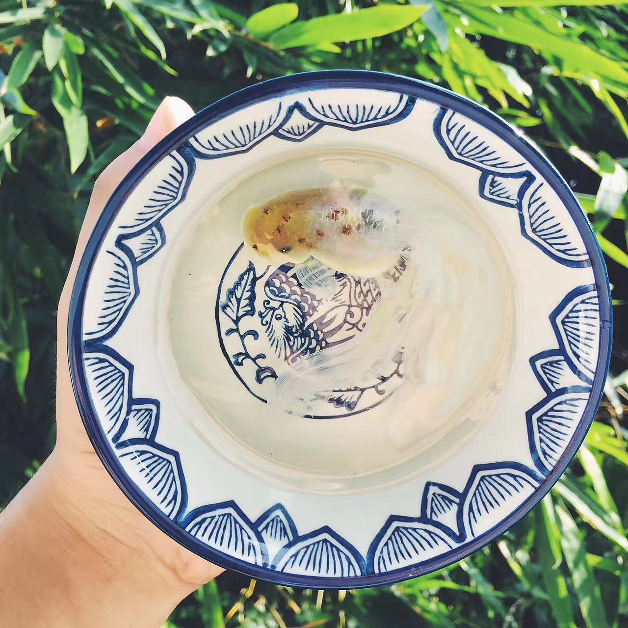 树脂金鱼之这段时间画的。（图ZOTA3MTM5ODQ=） - 工艺品设计 - 站酷设计师亚麟原创素材 - 站酷ZCOOL