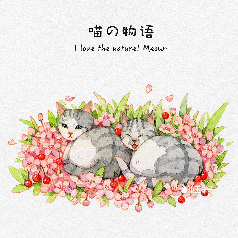喵喵物语（图ZMTUzMjM0MTQ0） - 商业插画 - 站酷设计师玉米呀yumia原创素材 - 站酷ZCOOL
