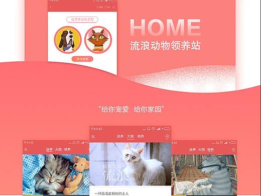 流浪动物领养站（个人主页-ZMzQxODAwOTY=） - APP界面 - 站酷设计师于我_____原创素材 - 站酷ZCOOL