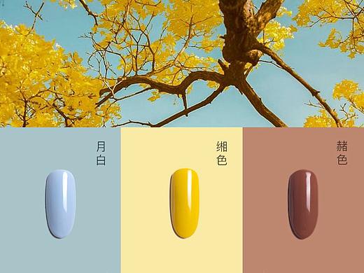 故宫色推文