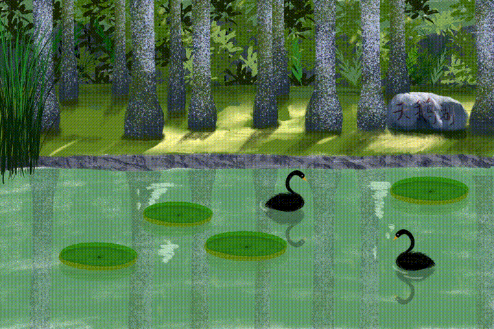 西双版纳原始森林公园动态海报