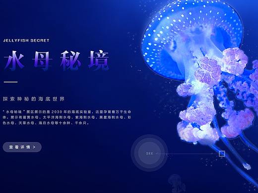 海洋世界（個(gè)人主頁-ZNDcyNzg2ODQ=） - 其他網(wǎng)頁 - 站酷設(shè)計(jì)師紅豆吐司原創(chuàng)素材 - 站酷ZCOOL